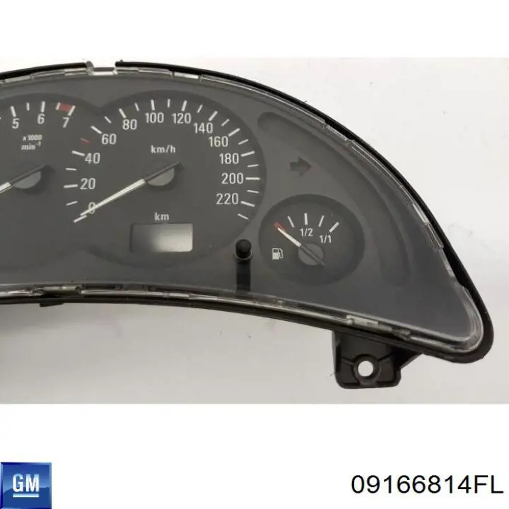 09166814FL General Motors 
