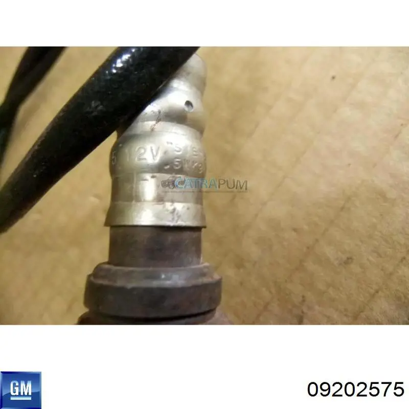 Sensor de oxígeno previo al catalizador General Motors 09202575 precio, desde 62,48 EUR