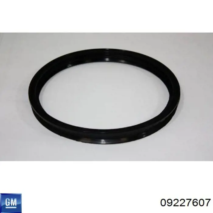 Comprar 9227607 General Motors Junta del sensor de nivel de combustible/bomba de combustible (depósito de combustible)