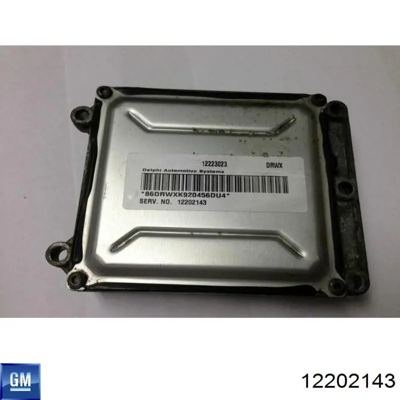 Unidad de control del motor  General Motors 12202143 precio, desde 49,96 EUR