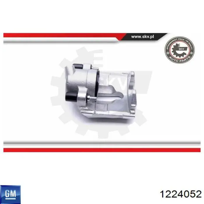Luces LED de matricula Opel 1224052