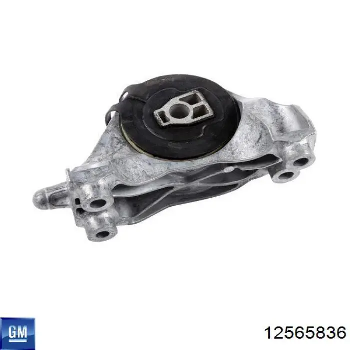 Retenes de válvulas General Motors 12565836 precio, desde 25,05 EUR