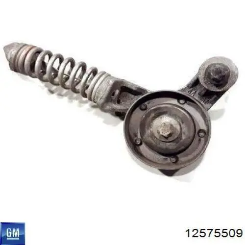 Polea inversión / guía, correa poli V 12575509 General Motors