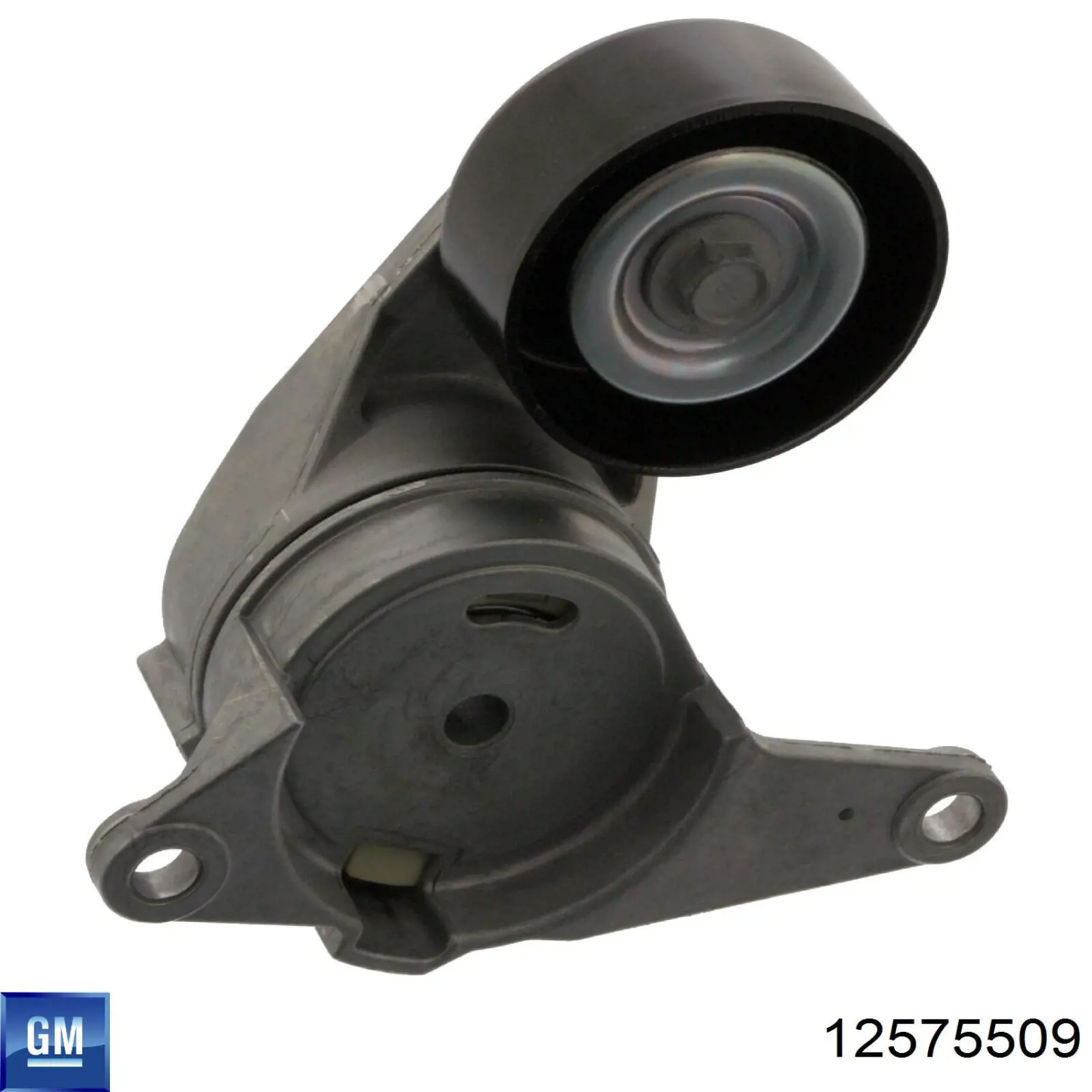 Comprar 12575509 General Motors Polea inversión/guía, correa poli V