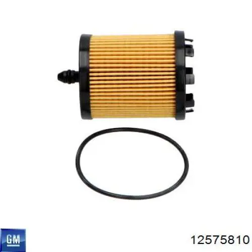 Filtro de aceite General Motors 12575810 precio, desde 4,21 EUR