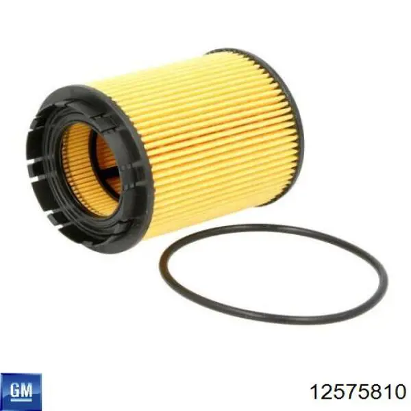 Comprar 12575810 General Motors Filtros de aceite