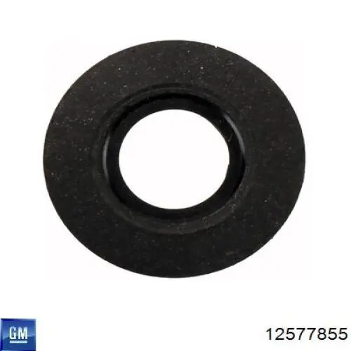 Junta de tapa del tubo de llenado de aceite 12577855 General Motors