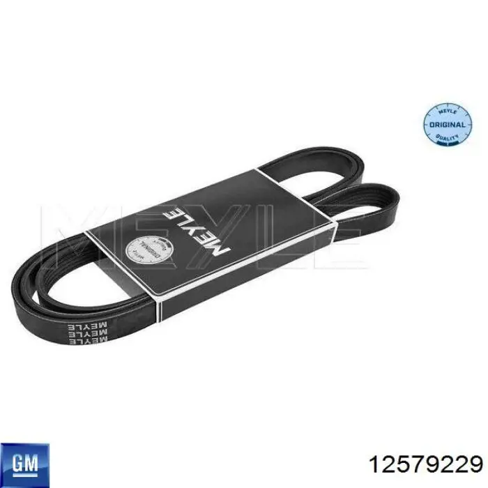 Correa de transmisión trapezoidal General Motors 12579229 precio, desde 28,36 EUR