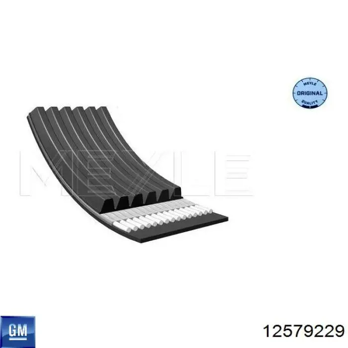 Correa de alternador 12579229 General Motors