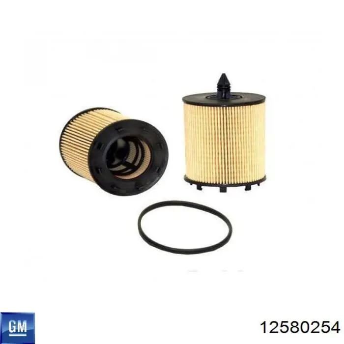 Comprar 12580254 General Motors Filtros de aceite