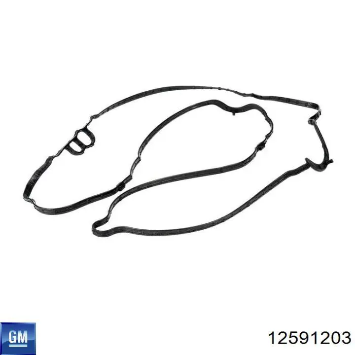 Junta de tapa de válvulas derecha General Motors 12591203