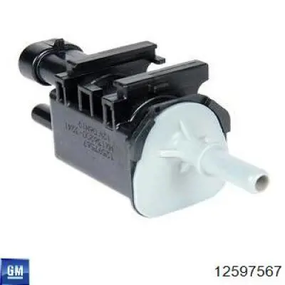  General Motors 12597567