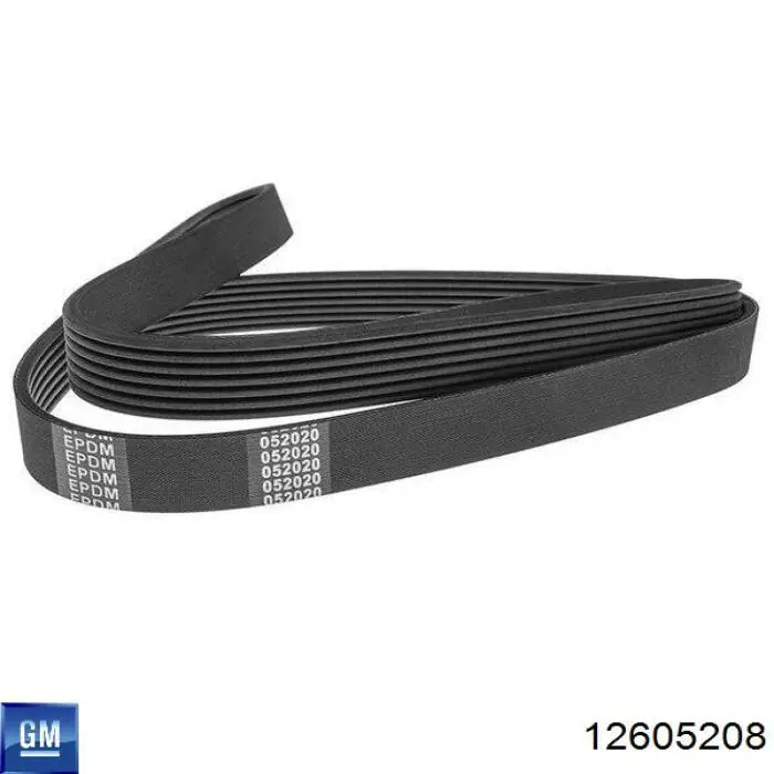 Correa de transmisión trapezoidal General Motors 12605208 precio, desde 22,75 EUR