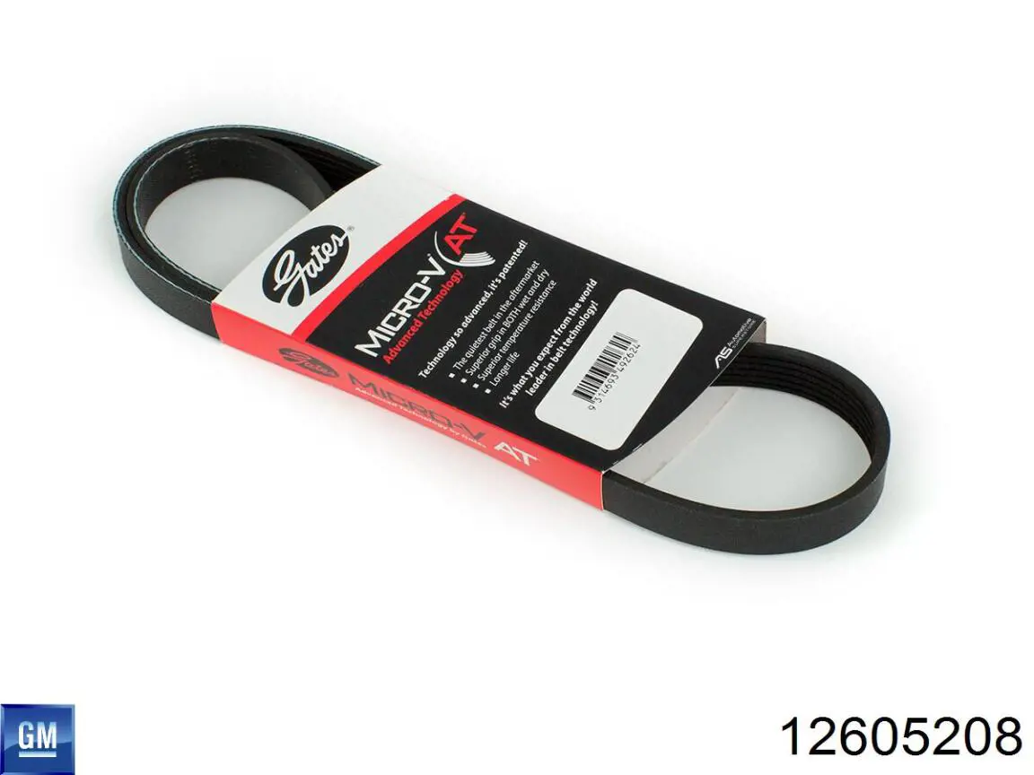Correa accesorios General Motors 12605208
