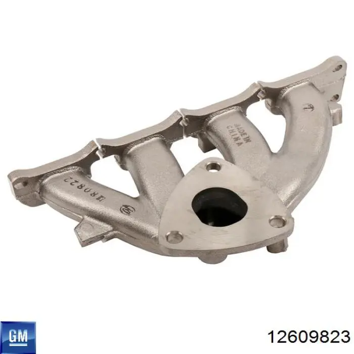 Colector de escape, sistema de escape General Motors 12609823 precio, desde 168,84 EUR