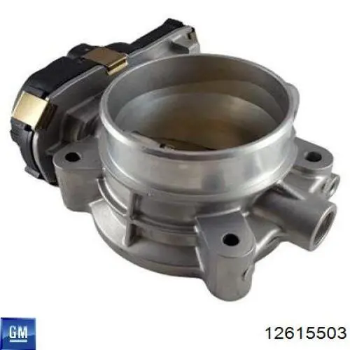 Cuerpo de aceleración completo General Motors 12615503 precio, desde 195,60 EUR