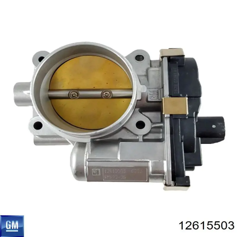 Comprar 12615503 General Motors Cuerpo de mariposa