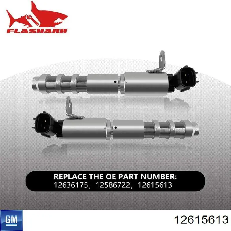 Válvula de control del árbol de levas General Motors 12615613 precio, desde 31,94 EUR