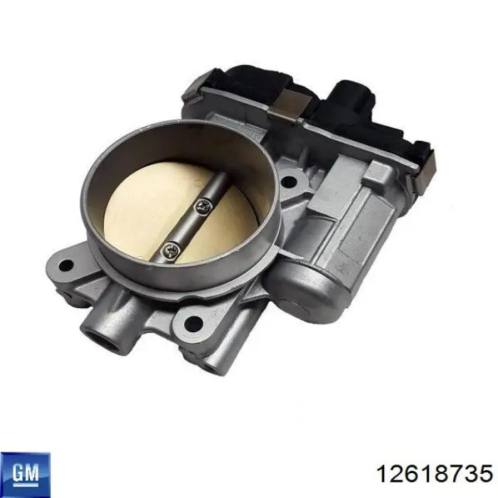 Caja de mariposa General Motors 12618735