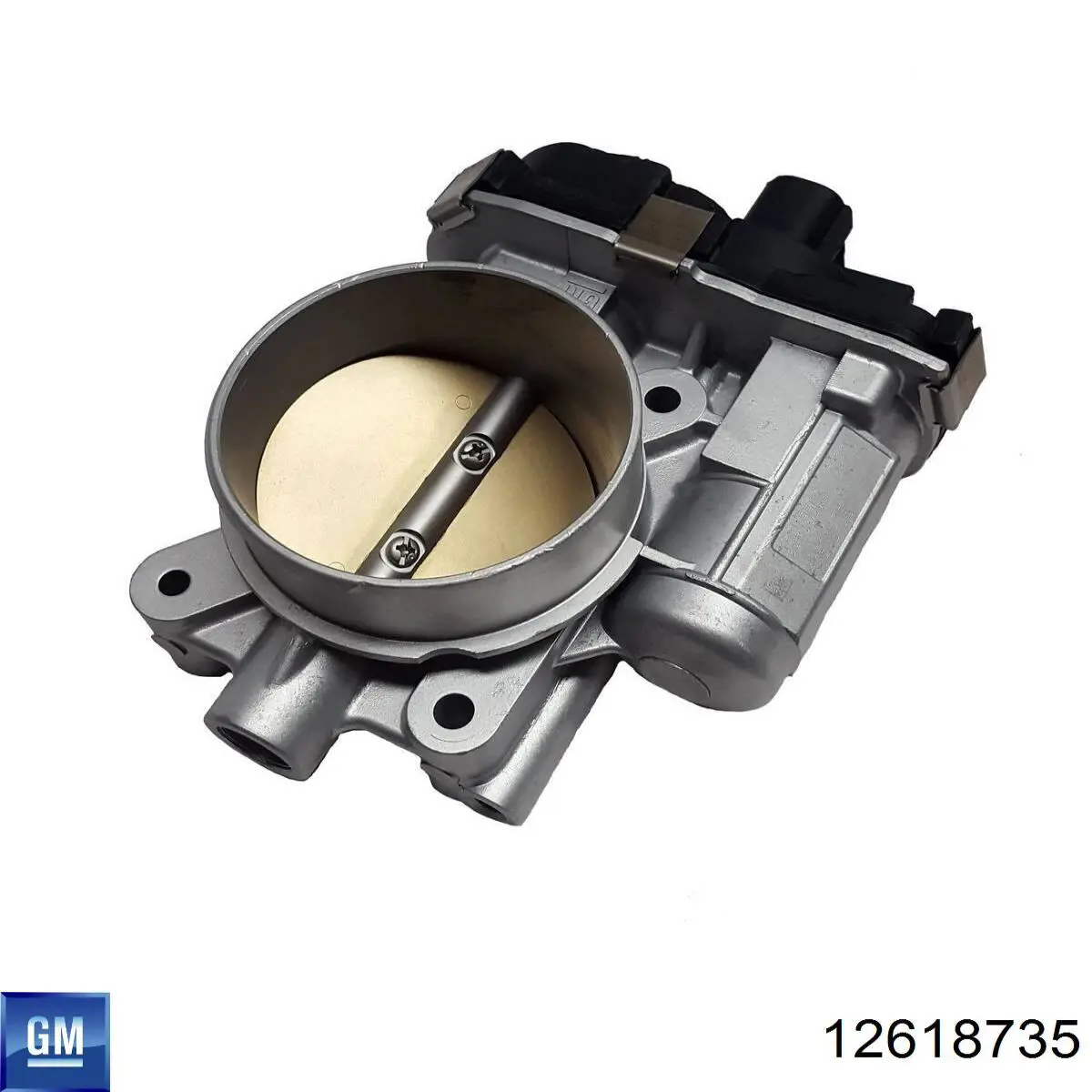 Cuerpo de aceleración completo General Motors 12618735 precio, desde 195,60 EUR