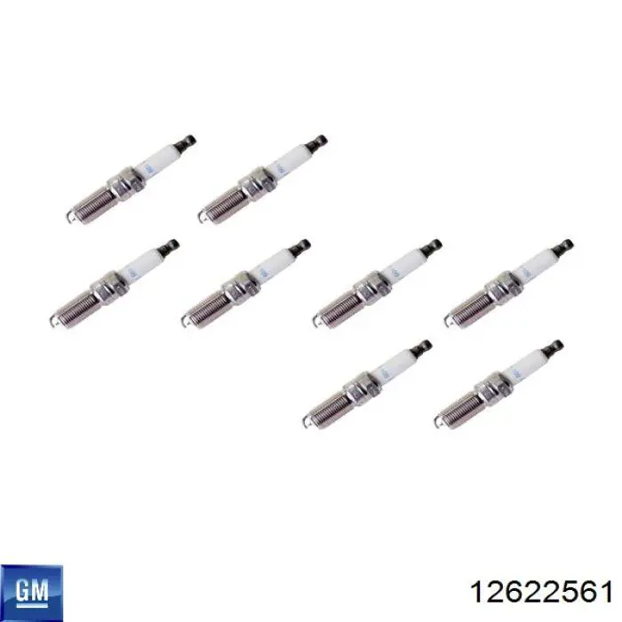 Bujías General Motors 12622561 precio, desde 15,00 EUR