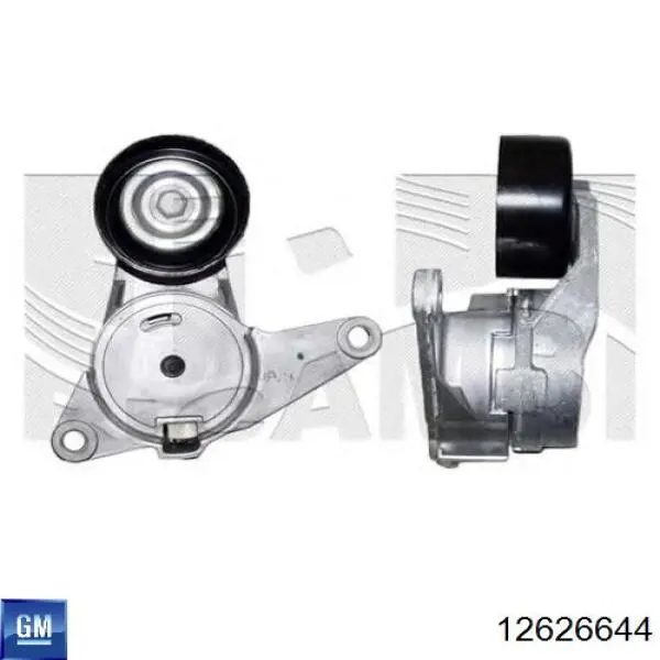 Tensor de correa poli V 12715120 General Motors