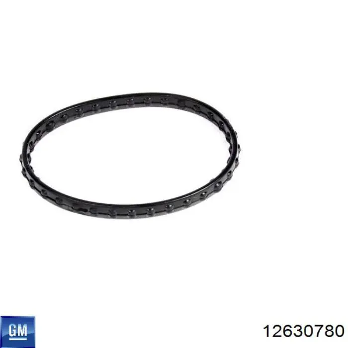 C32869 Mahle Original