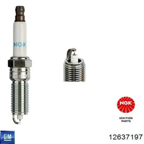 Bujías General Motors 12637197 precio, desde 34,79 EUR