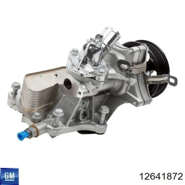 Comprar 12641872 General Motors Junta de bomba de agua