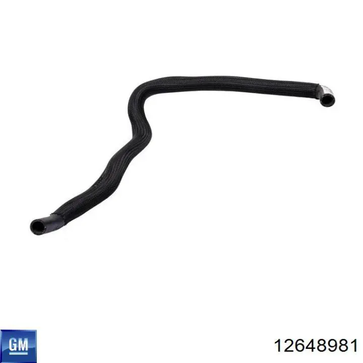 Correa de alternador 12648981 General Motors