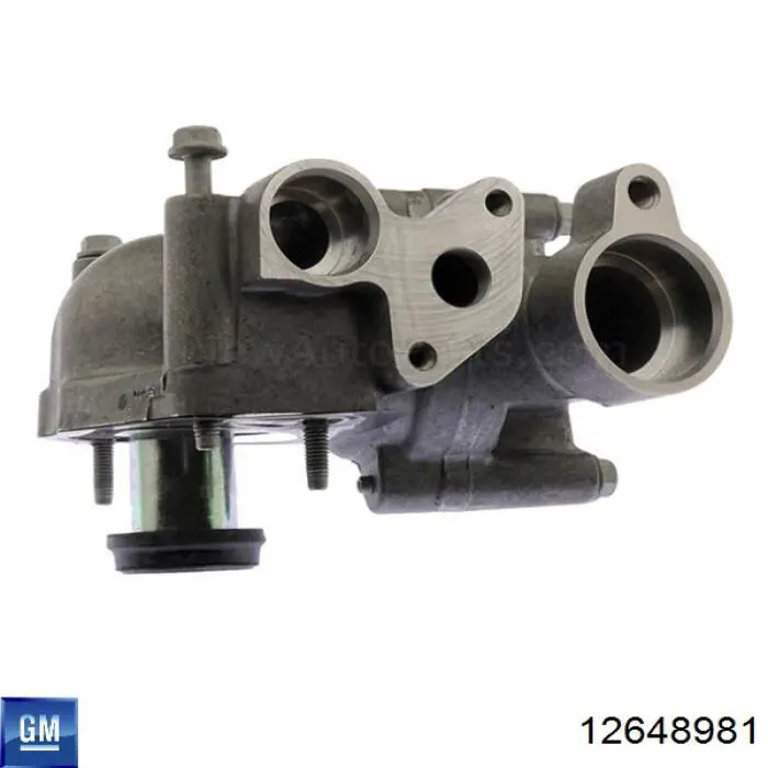 12648981 General Motors Correa poly v