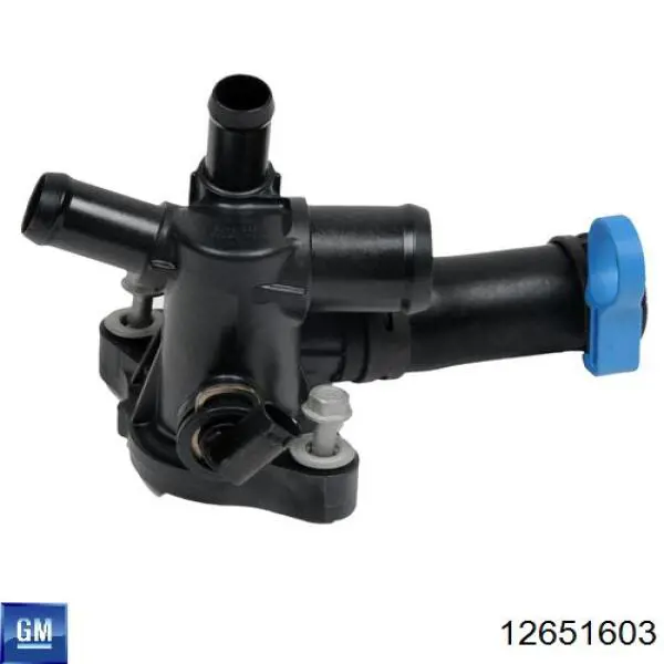 Termostato General Motors 12651603 precio, desde 55,25 EUR