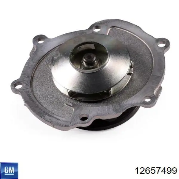 Bombeadora de agua General Motors 12657499 precio, desde 63,07 EUR