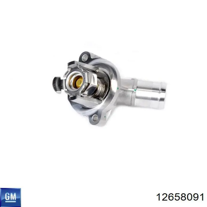 12658091 General Motors Correa poly v