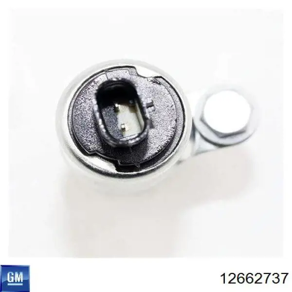 Comprar 12662737 General Motors Válvula de control del árbol de levas