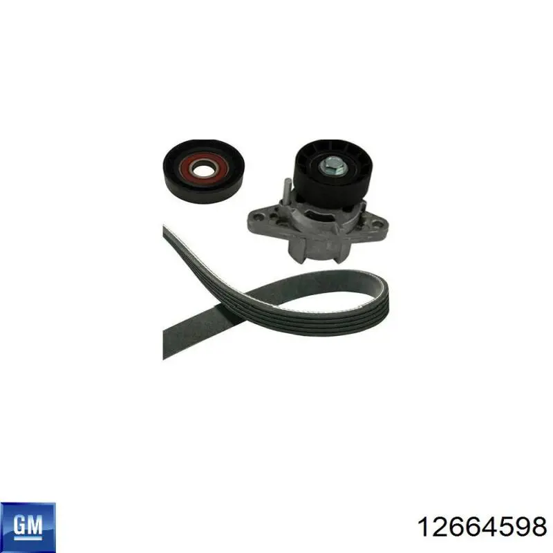 Comprar 12664598 General Motors Correa trapezoidal