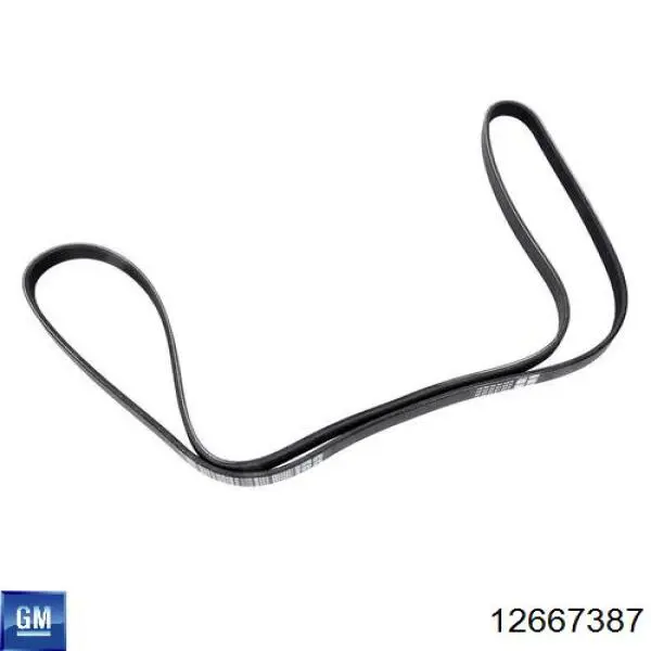 Comprar O203 Dolz Bomba de agua para motor