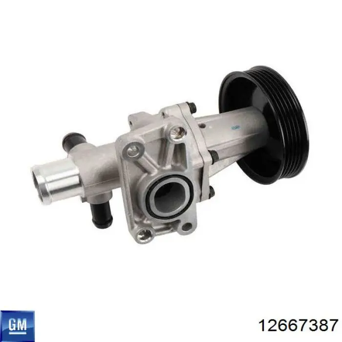 O203 Dolz Bomba refrigerante coche