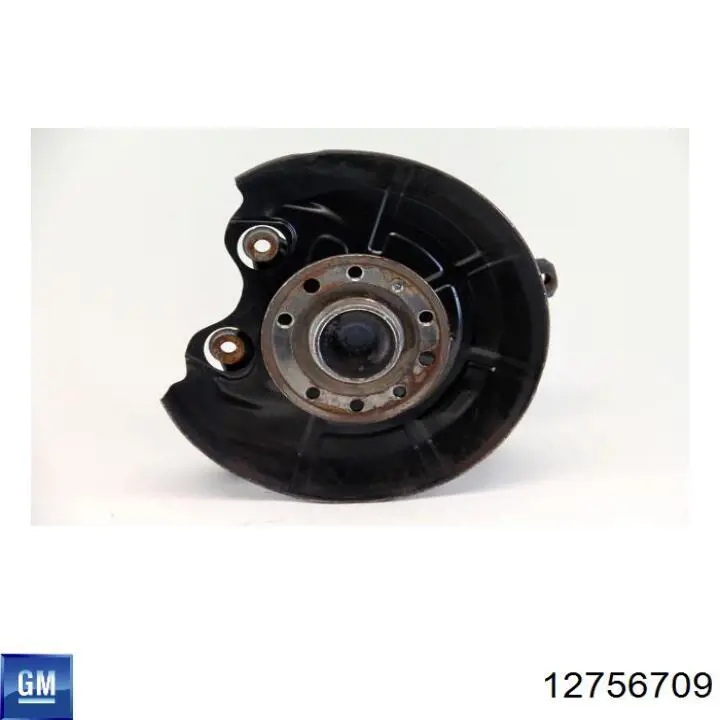Mangueta trasera derecha General Motors 12756709 precio, desde 81,31 EUR