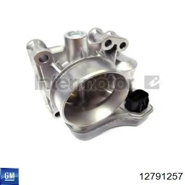 Cuerpo de aceleración completo Opel 93174608 precio, desde 110,94 EUR