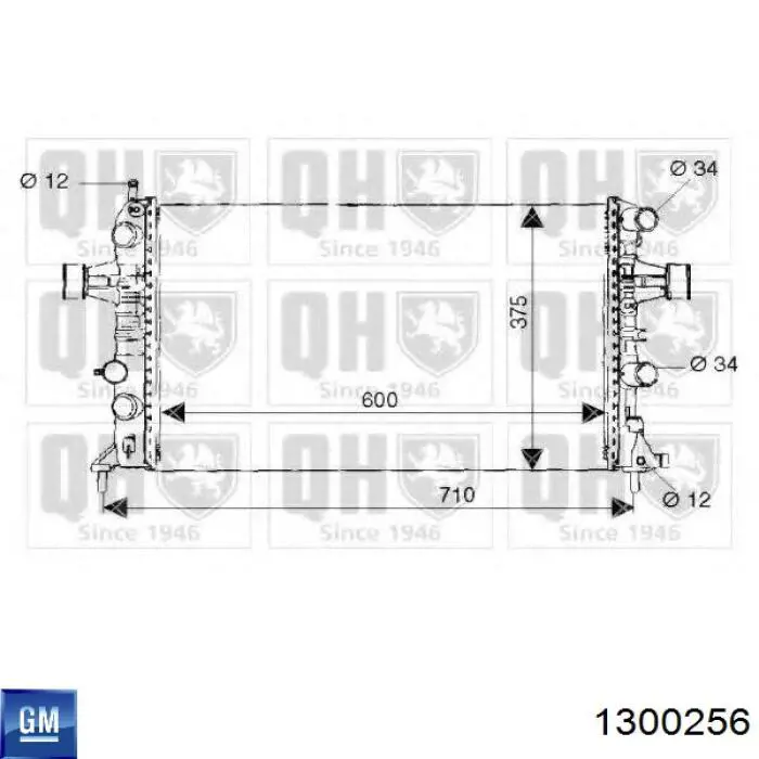 1300256 General Motors radiador