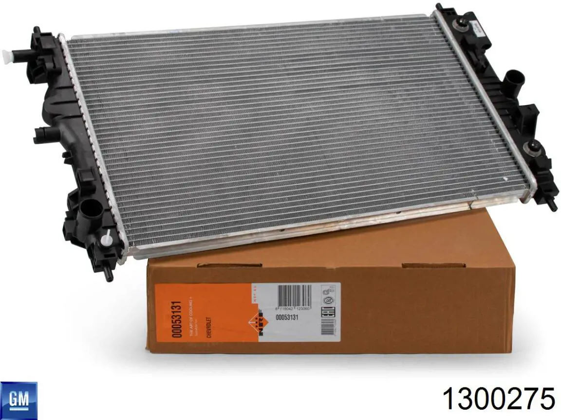 Água radiador General Motors 1300275 precio, desde 107,16 EUR