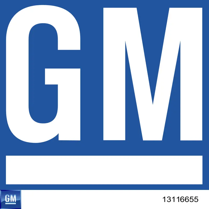 13116655 General Motors Pieza de cierre de puerta delantera