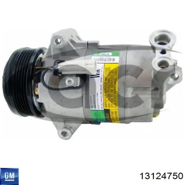 Compresor ac General Motors 13124750 precio, desde 127,05 EUR