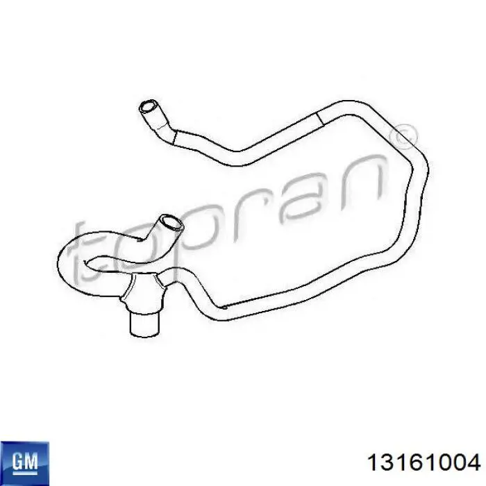 13161004 General Motors manguera refrigerante para radiador inferiora