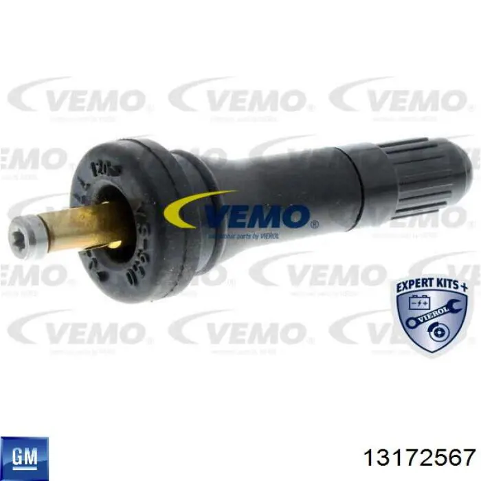 Control de presión de neumáticos General Motors 13172567