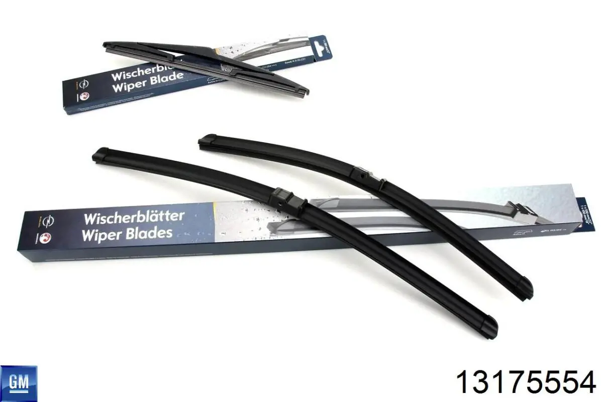 Filtro de polen General Motors 13175554