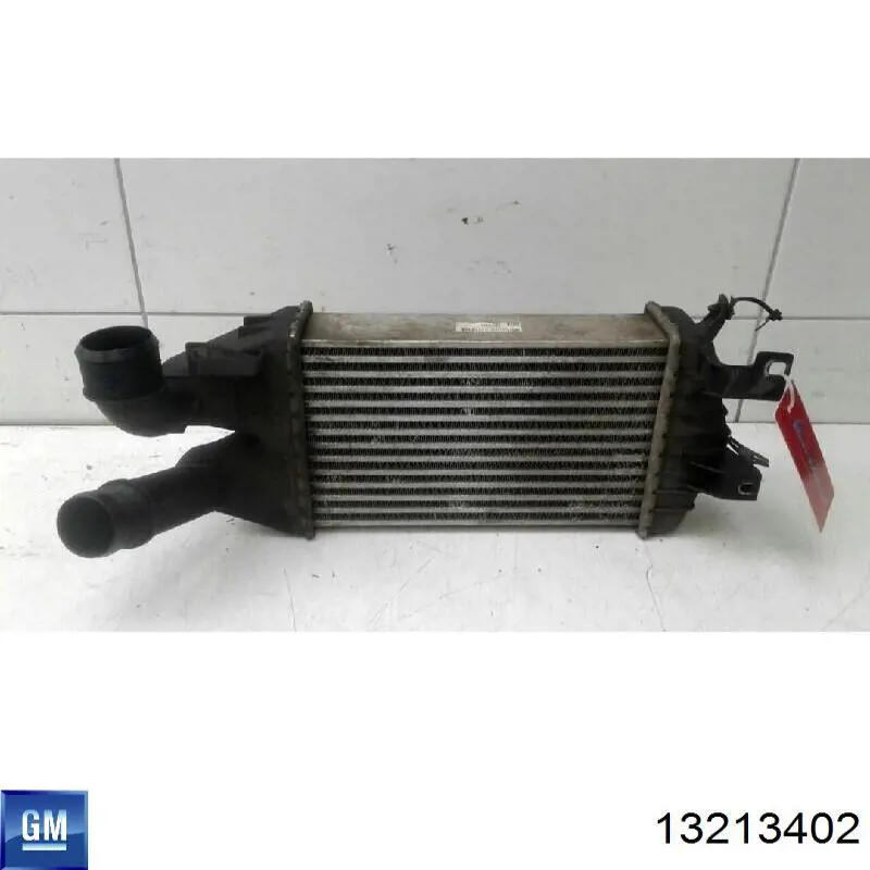 Radiador de aire de admisión General Motors 13213402 precio, desde 81,72 EUR