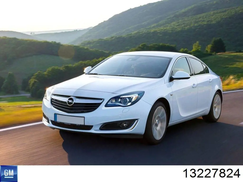 Cristal parabrisas General Motors 13227824 precio, desde 344,12 EUR