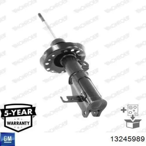 Amortiguador strut delantero para Opel Insignia (G09)